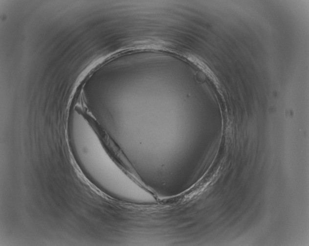 X0000084530941200703091624