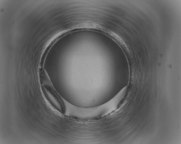 X0000084530942200703091624