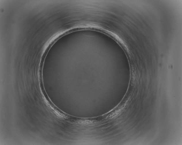 X0000084530943200703091624