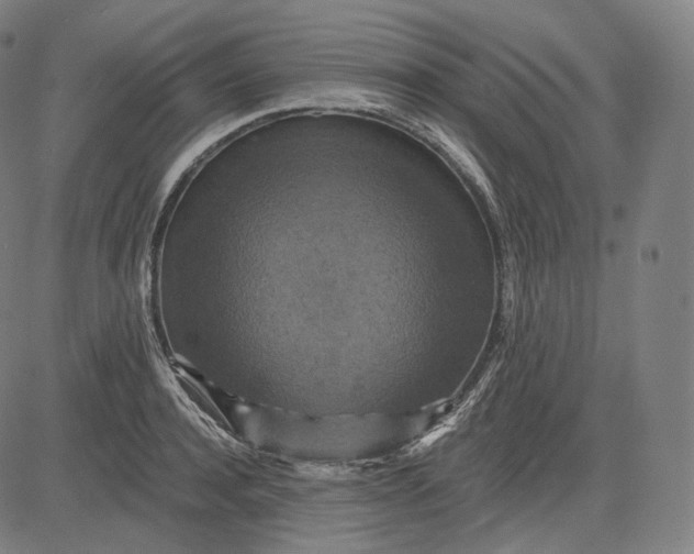 X0000084530944200703091624