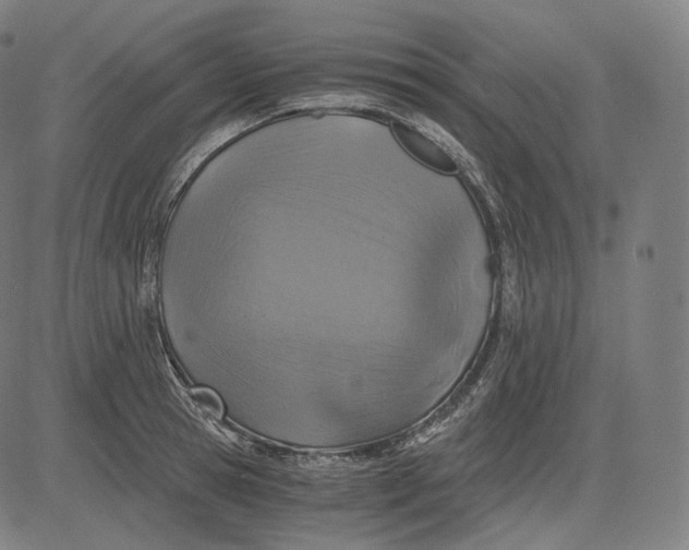 X0000084530945200703091624