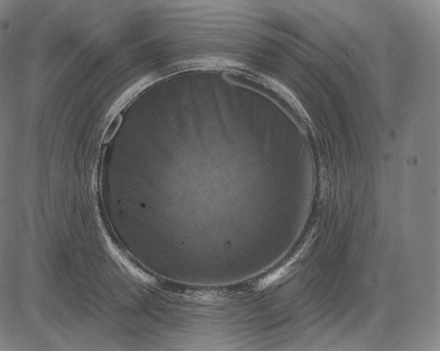 X0000084530946200703091624