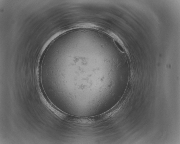 X0000084530947200703091624