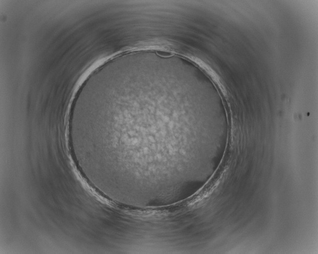 X0000084530949200703091624