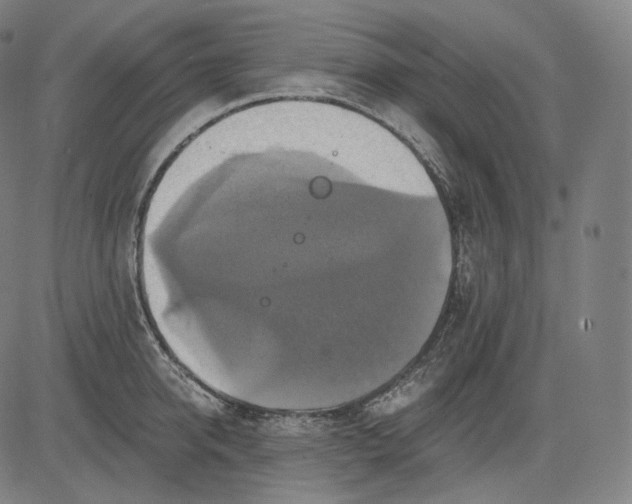 X0000084530950200703091624