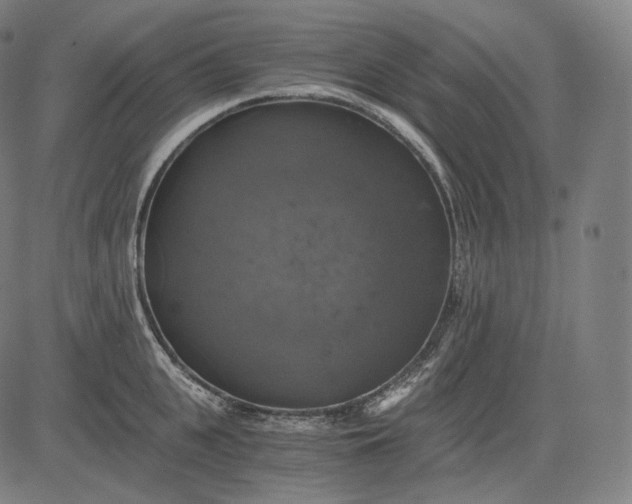 X0000084530951200703091624