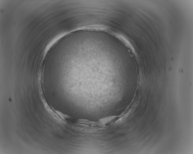 X0000084530952200703091624