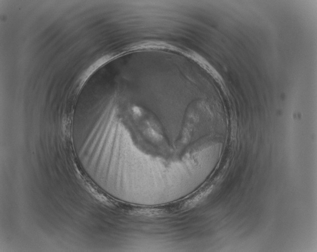 X0000084530953200703091624