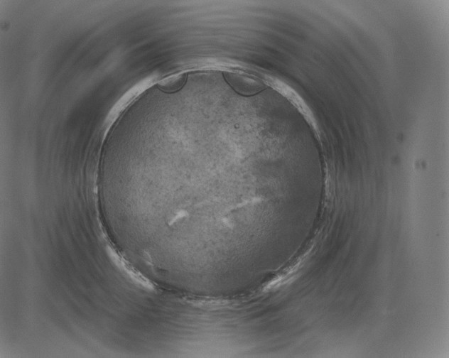 X0000084530954200703091624