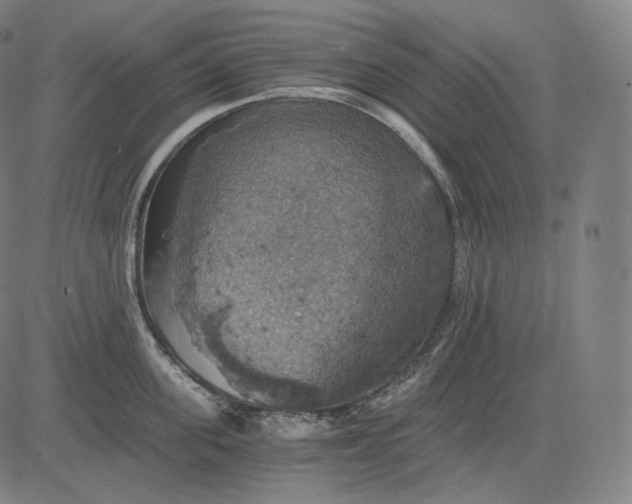 X0000084530955200703091624