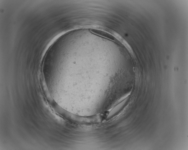 X0000084530956200703091624