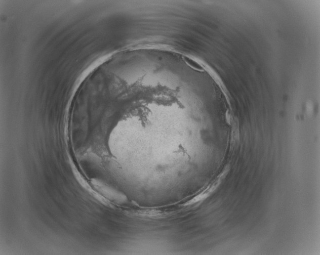 X0000084530957200703091625