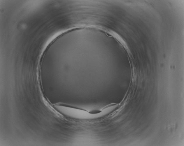 X0000084530958200703091625