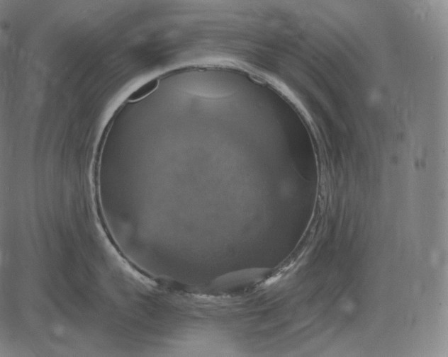 X0000084530959200703091625