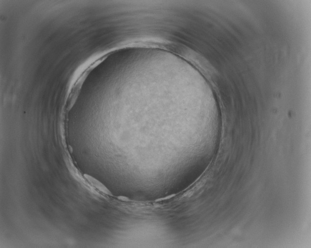 X0000084530960200703091625