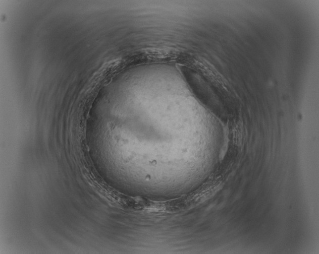 X0000084530961200703091624