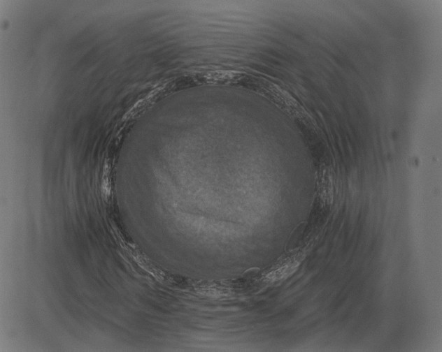 X0000084530962200703091624