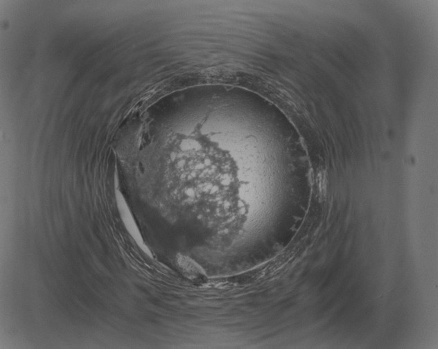 X0000084530963200703091624