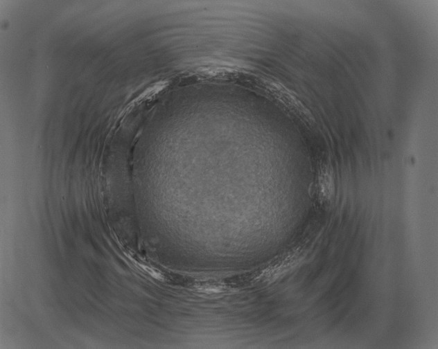 X0000084530964200703091624