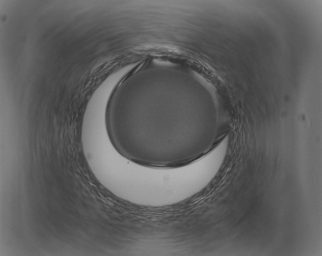 X0000084530965200703091624