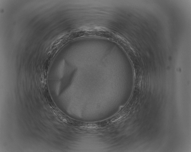 X0000084530966200703091624