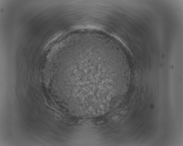 X0000084530967200703091624