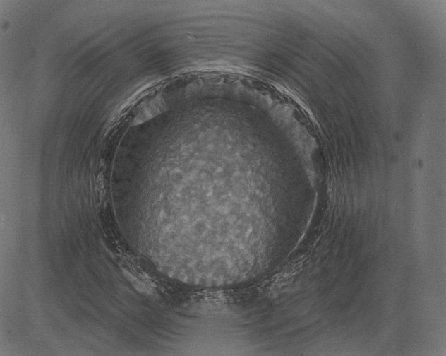 X0000084530968200703091624