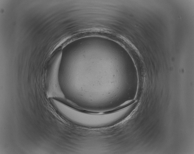 X0000084530969200703091624