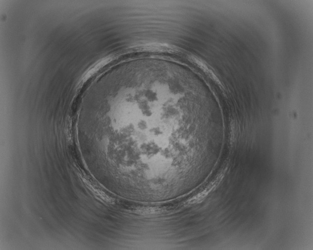 X0000084530970200703091624