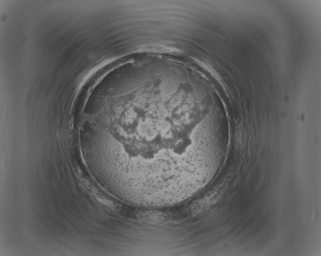 X0000084530971200703091624