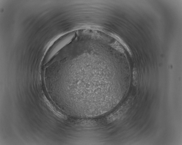 X0000084530972200703091624