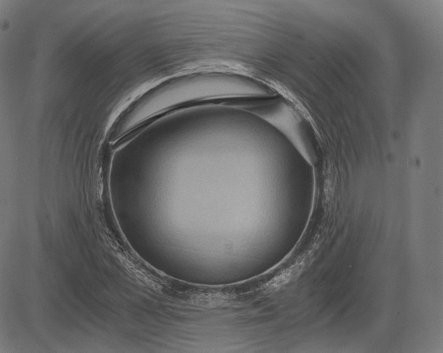 X0000084530973200703091624