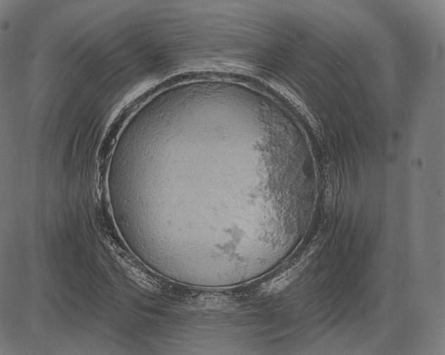 X0000084530974200703091624