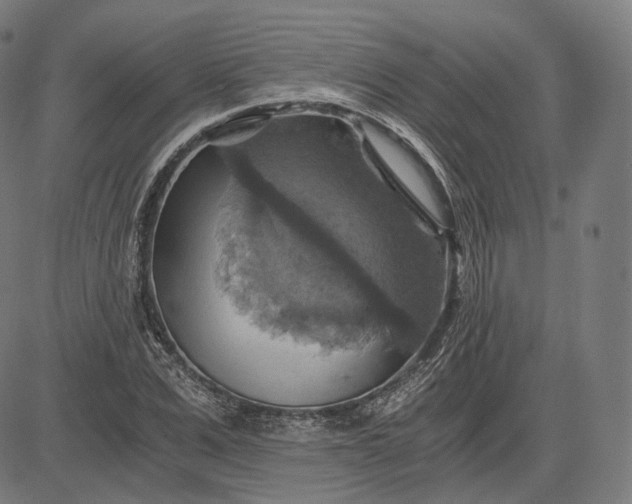 X0000084530975200703091624