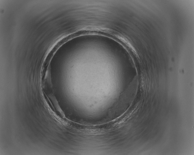 X0000084530976200703091624