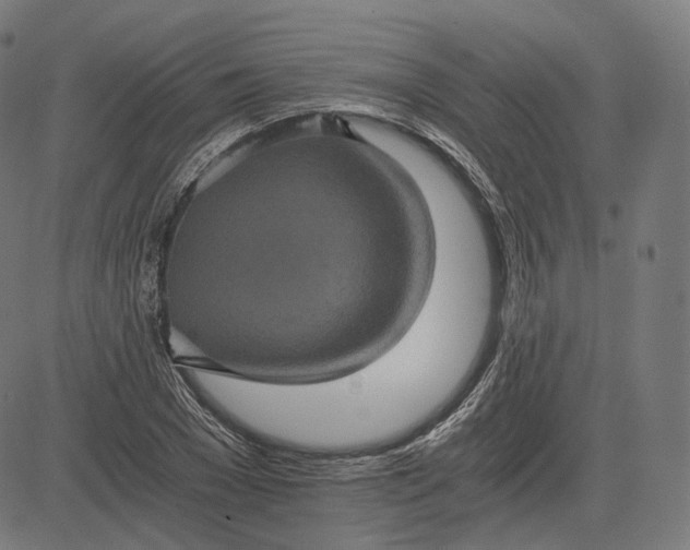 X0000084530977200703091623