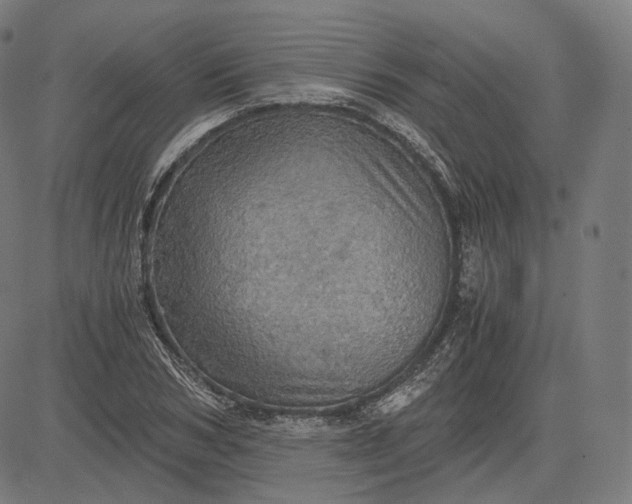 X0000084530978200703091623