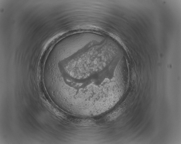 X0000084530979200703091623