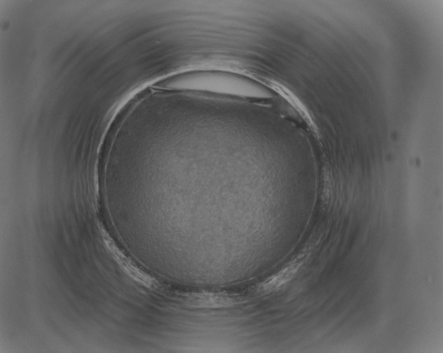 X0000084530980200703091623