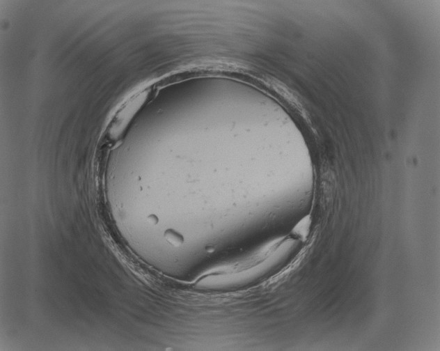 X0000084530981200703091623