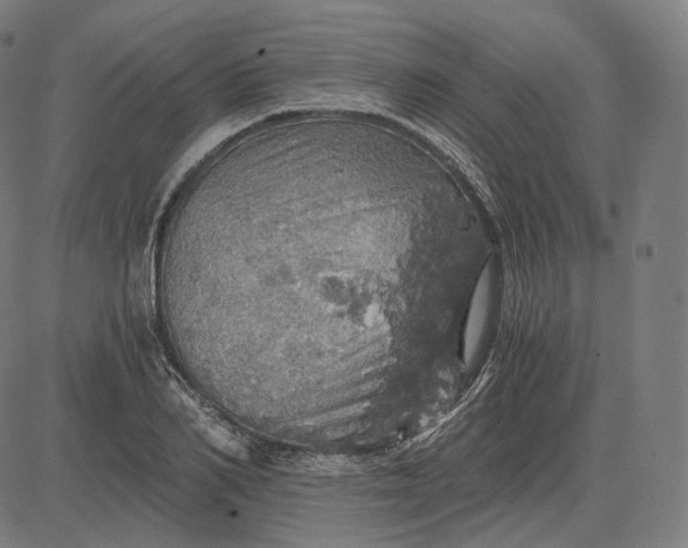 X0000084530982200703091623