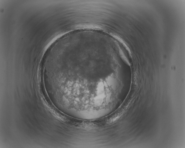 X0000084530983200703091623