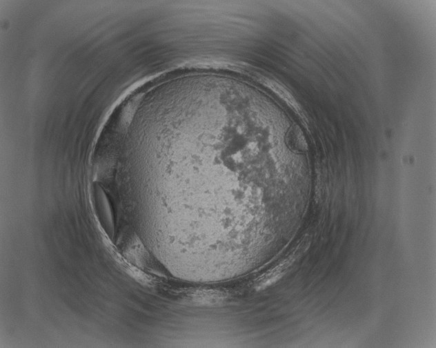 X0000084530984200703091623