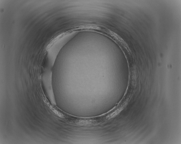 X0000084530985200703091623