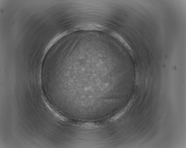 X0000084530986200703091623