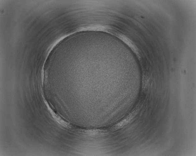 X0000084530988200703091623