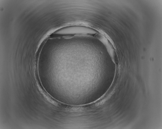 X0000084530989200703091623