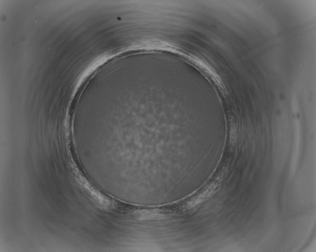 X0000084530990200703091623