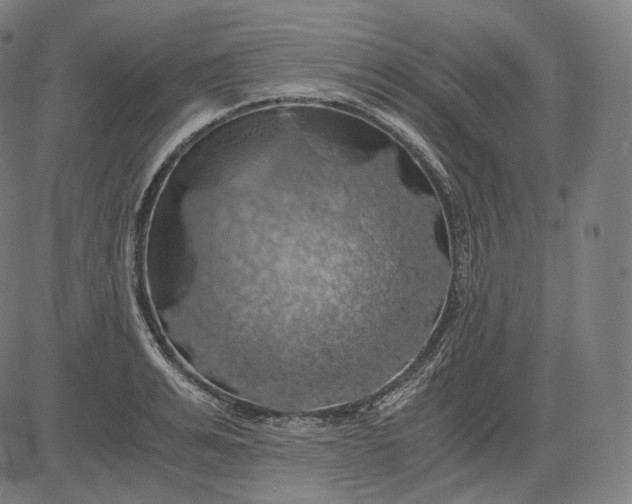 X0000084530991200703091623