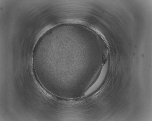 X0000084530992200703091623